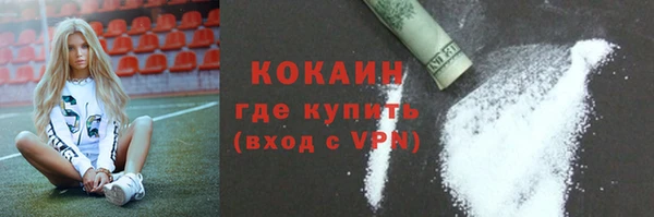 ALPHA-PVP Каменка