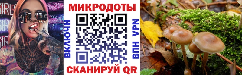 Псилоцибиновые грибы Magic Shrooms  Купить  Воткинск 